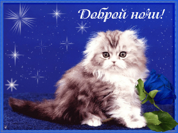 Фотографии со стены